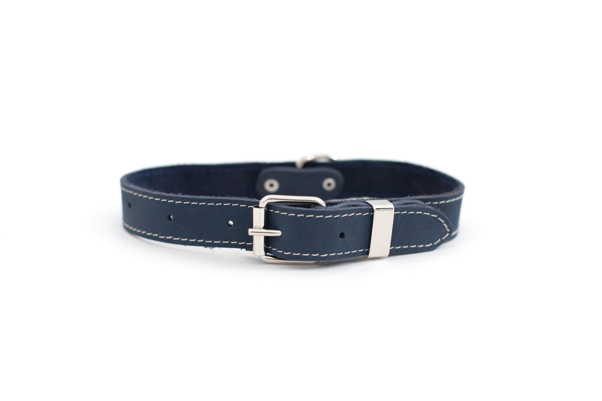 Pro Line Leather Hunting Dog Collar – alternate view 2