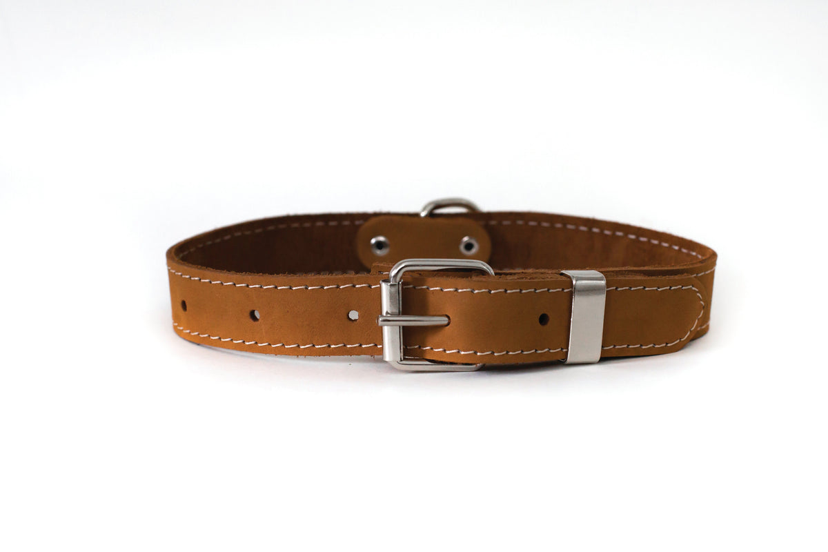 Pro Line Leather Hunting Dog Collar – alternate view 4