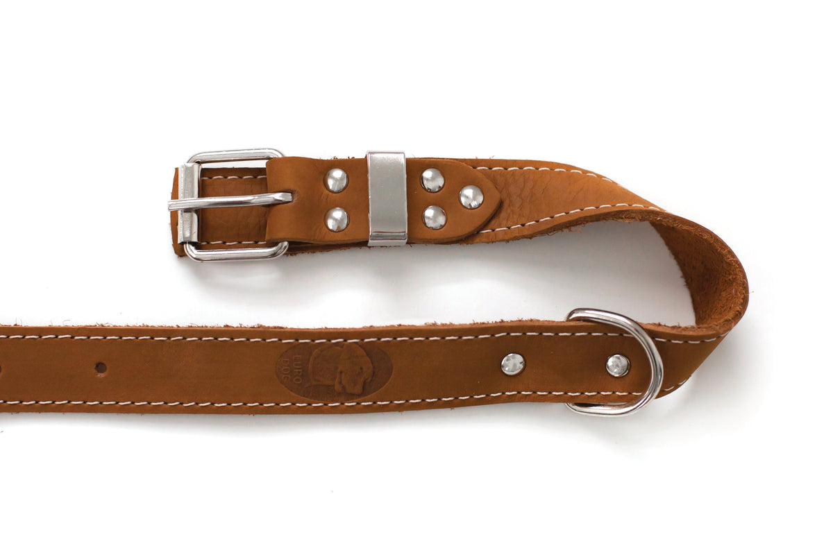 Pro Line Leather Hunting Dog Collar – alternate view 13