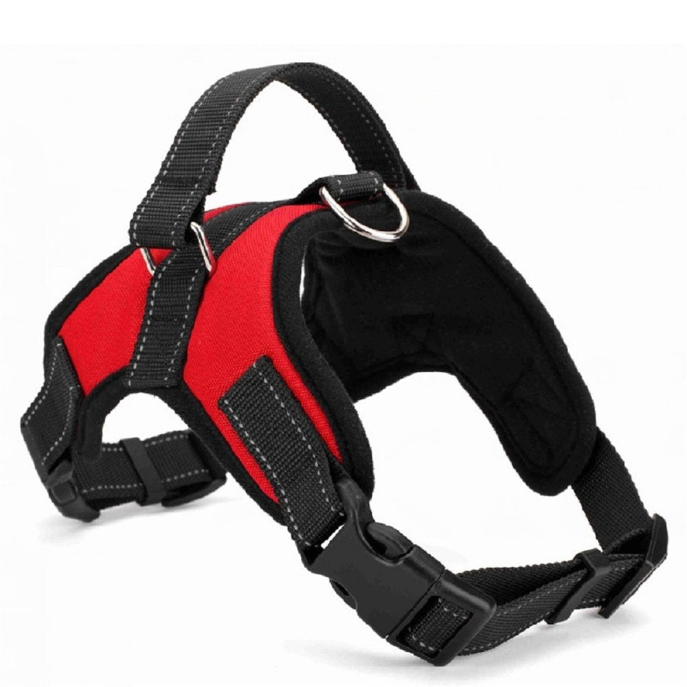 Dog Collar – Medium & Large Dogs – alternate view 13