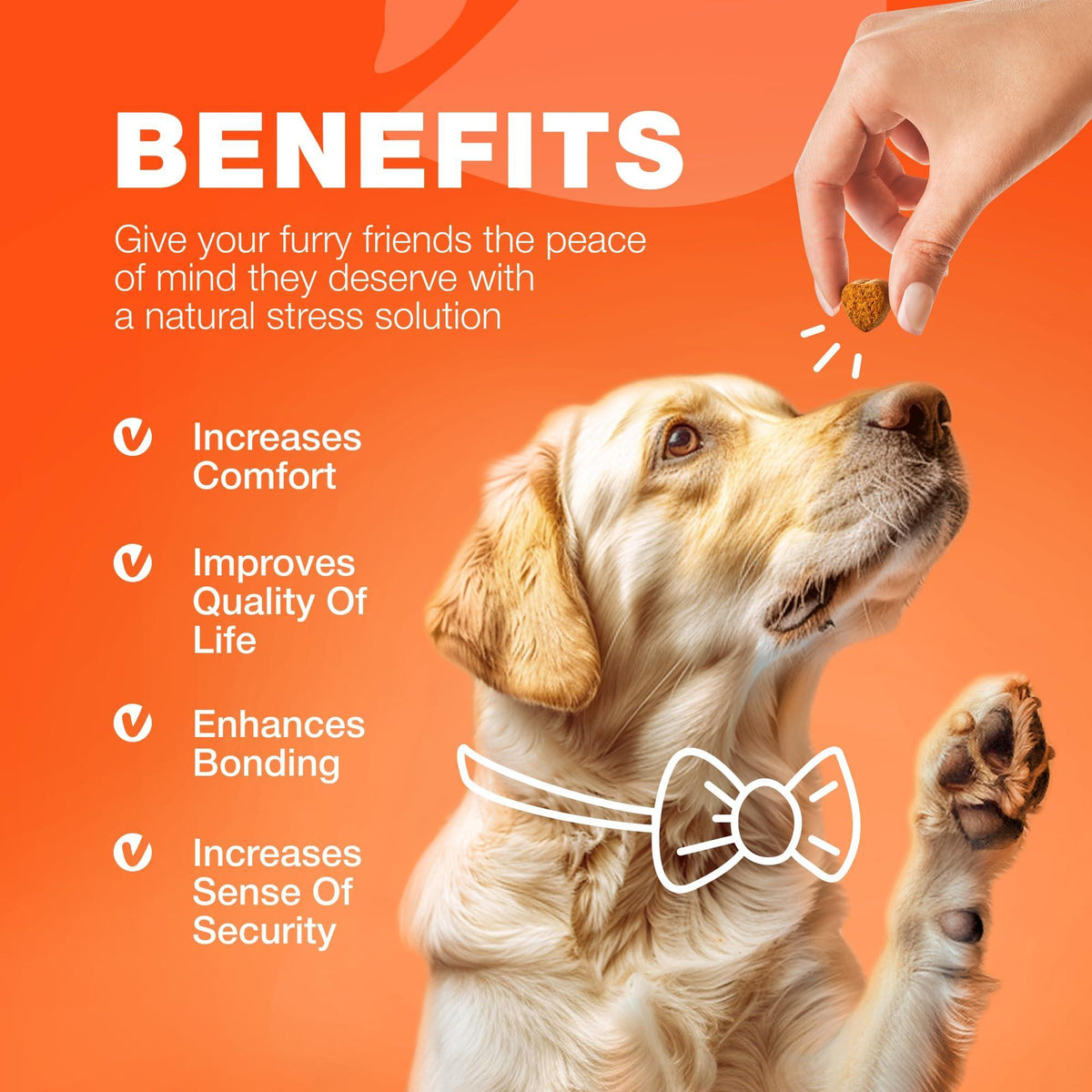 Glucosamine and chondroitin hip and joint soft chews for dogs – photo 9 of 9