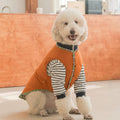 Thermal Dog Clothing for Large Dogs Green Navy – photo 1 of 6