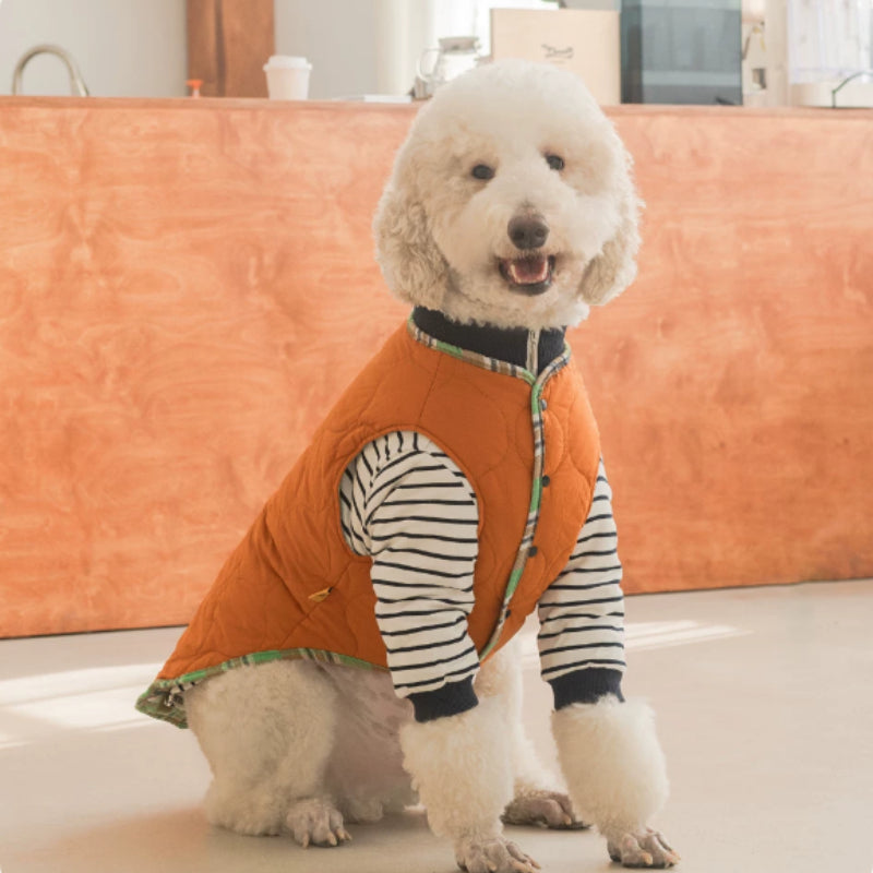 Thermal Dog Clothing for Large Dogs Green Navy – photo 1 of 6