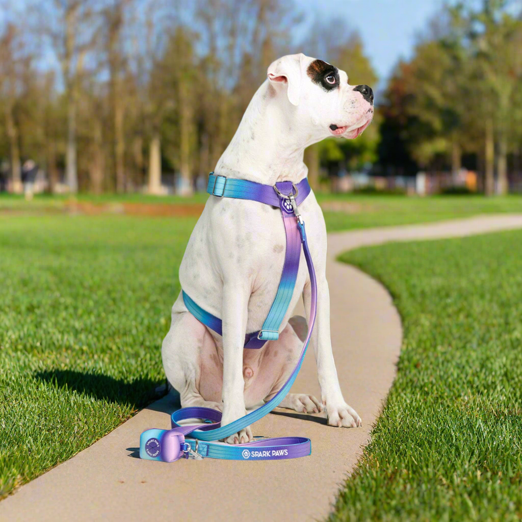 Comfort Control No-Pull Dog Harness – 90s Retro – alternate view 4