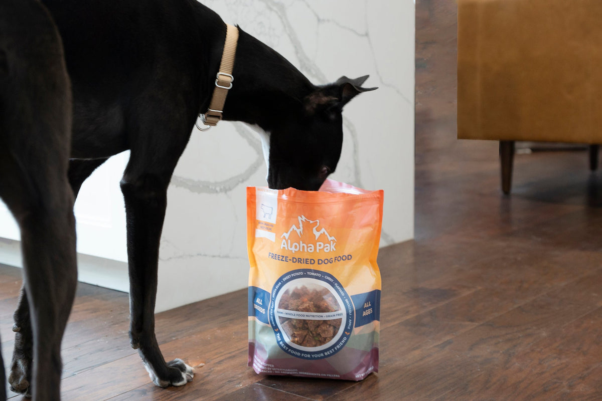 Freeze-Dried Raw Beef Dog Food – Single Ingredient – alternate view 14