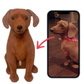 Custom Pet Plush from Photo – Memorial Keepsake for Dogs & Cats – front view