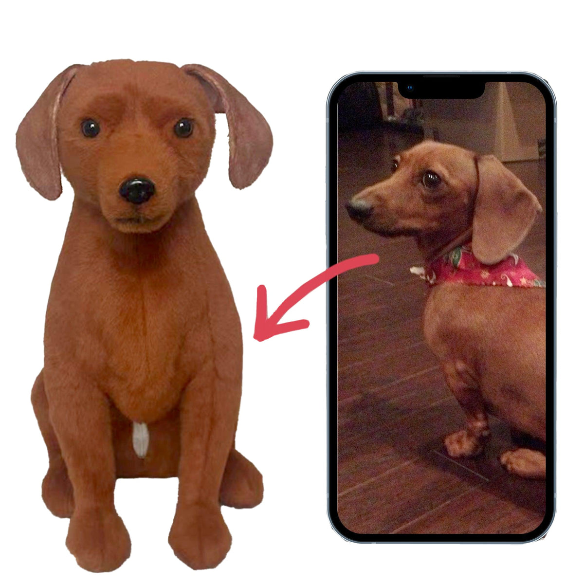 Custom Pet Plush from Photo – Memorial Keepsake for Dogs & Cats – front view
