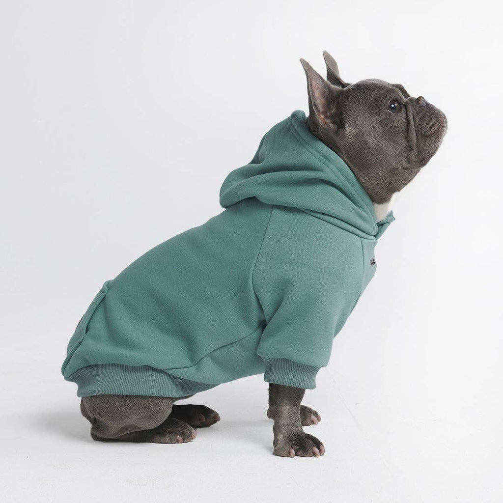 Essential Dog Hoodie - Teal – alternate view 6