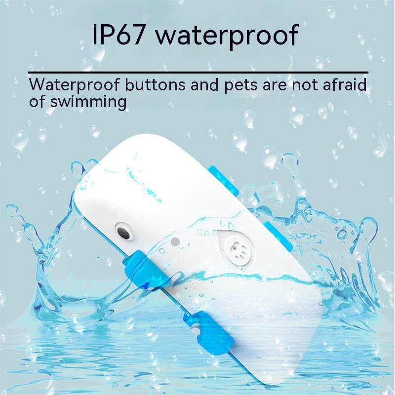 4G GPS BeiDou Tracker Collar for Dogs – photo 2 of 9