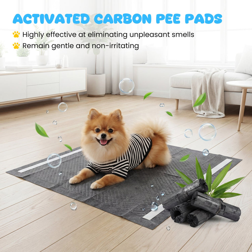 Charcoal Dog Pee Pads 24 x 24 6-Layer 150 Count – photo 5 of 8