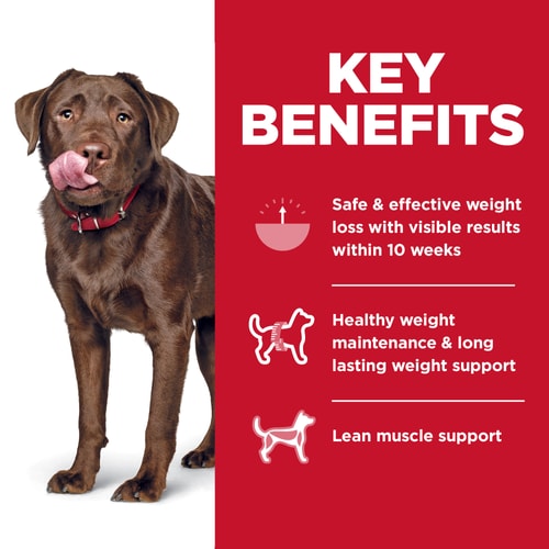 Hill's Science Diet Adult Perfect Weight Large Breed Dry Dog Food – Chicken, 25lb – alternate view 5