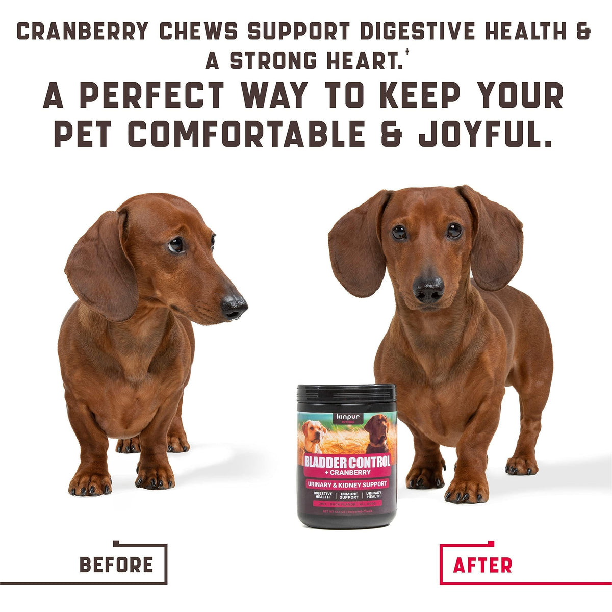 Cranberry Chews for Dogs 180 Count Urinary Tract Support – photo 6 of 7
