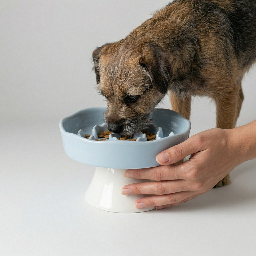 Ceramic Elevated Slow Feeder Bowl for Dogs & Cats – alternate view 12