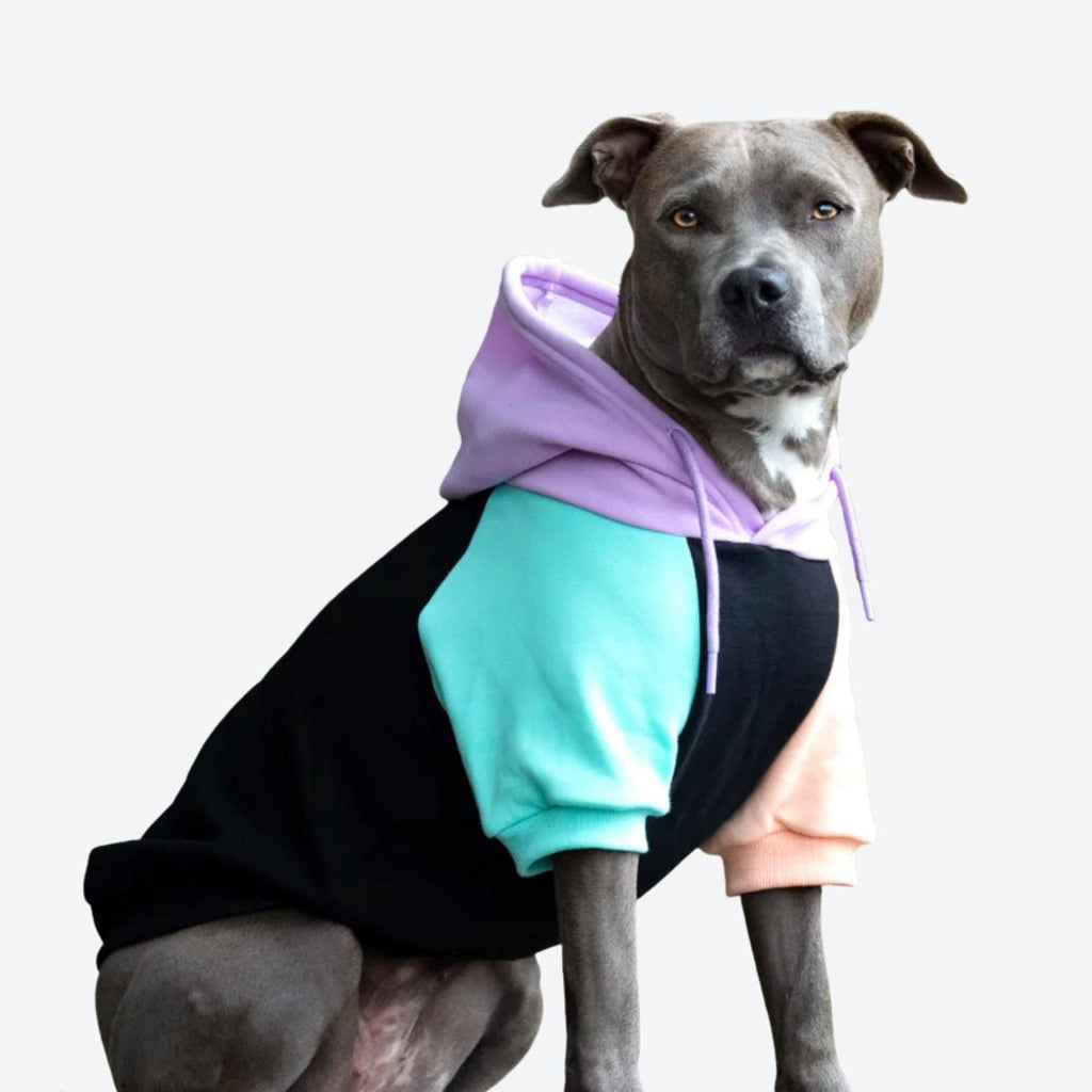 Cyber Punk Dog Hoodie – front view