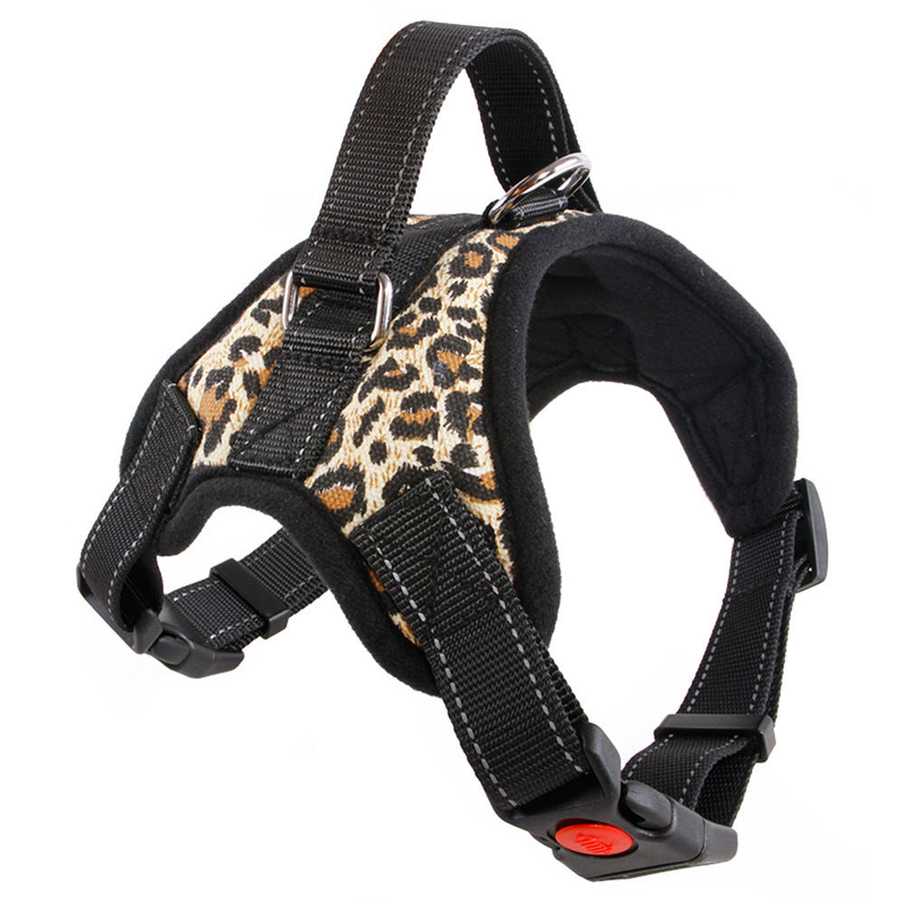 Dog Collar – Medium & Large Dogs – alternate view 12