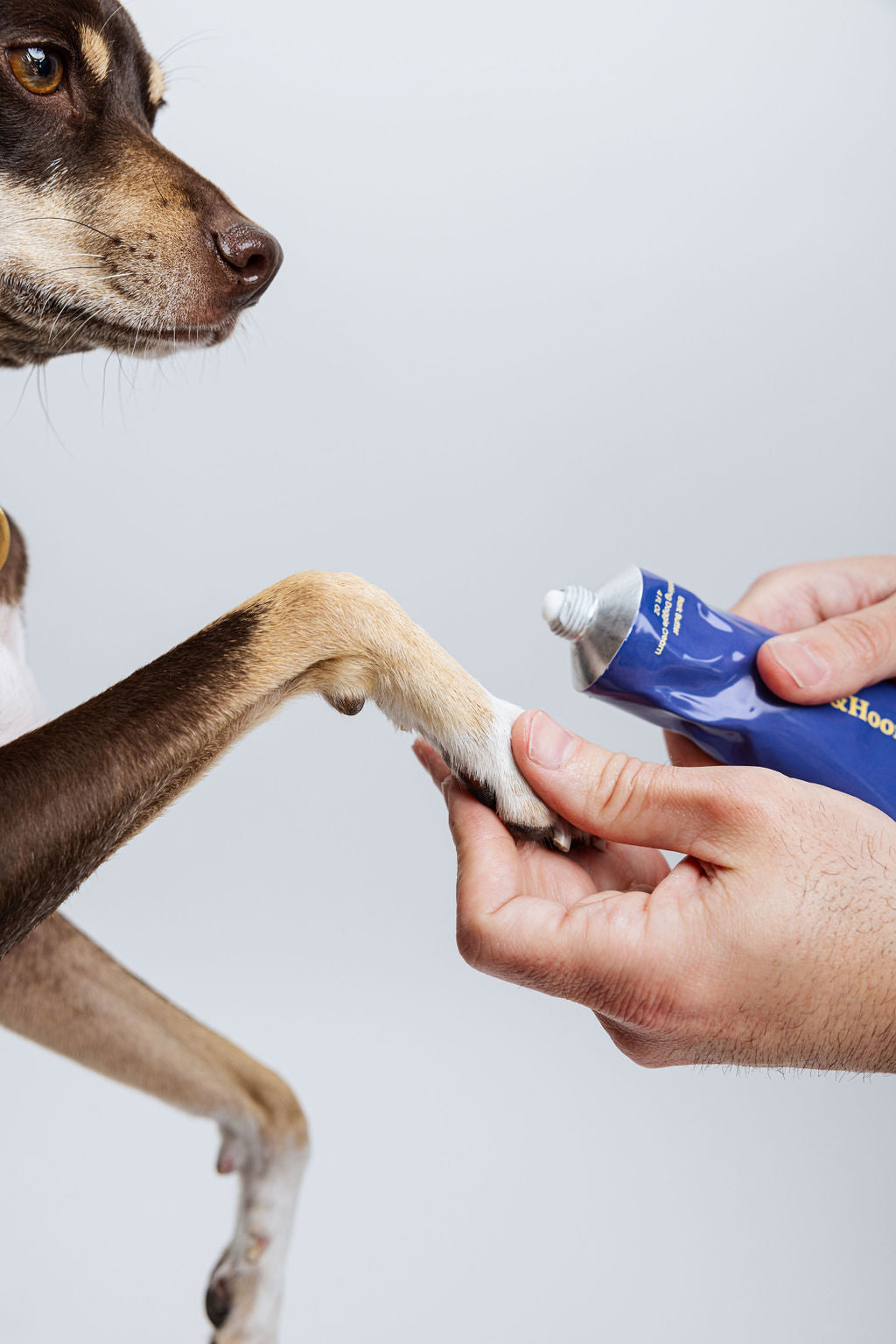 Bark Butter Paw Care Balm for Dogs – alternate view 2