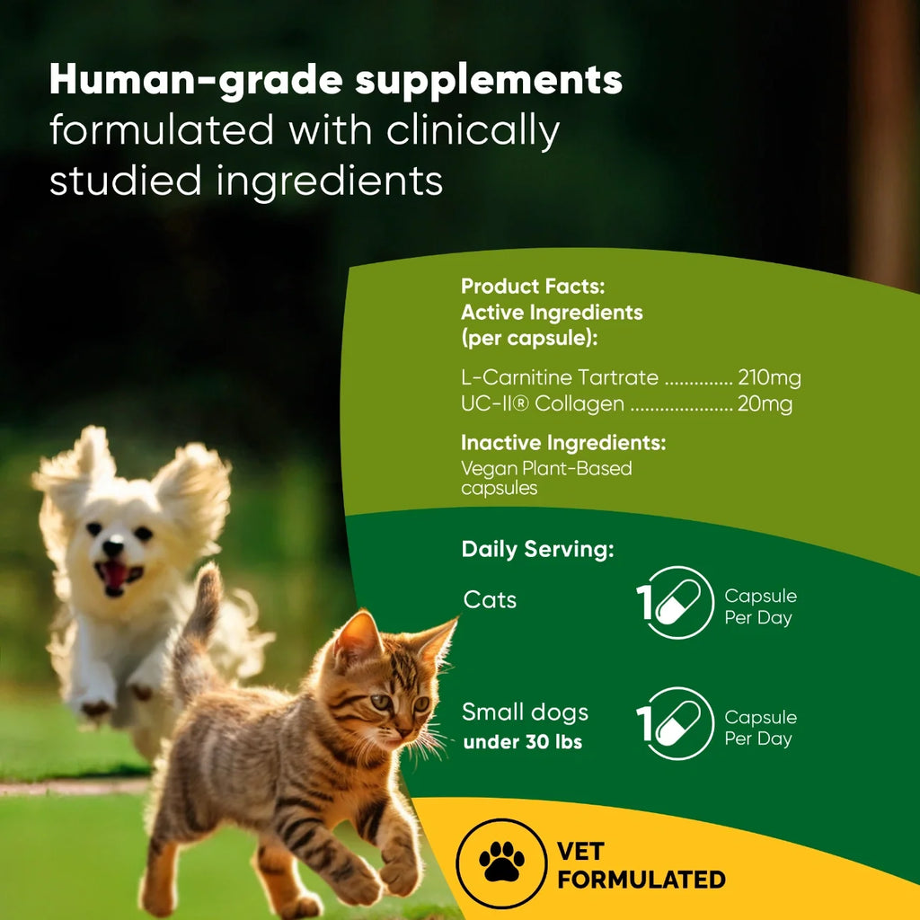 Rooted Owl Joint & Muscle Health capsules with UC-II collagen for small dogs under 30 lb – photo 2 of 9