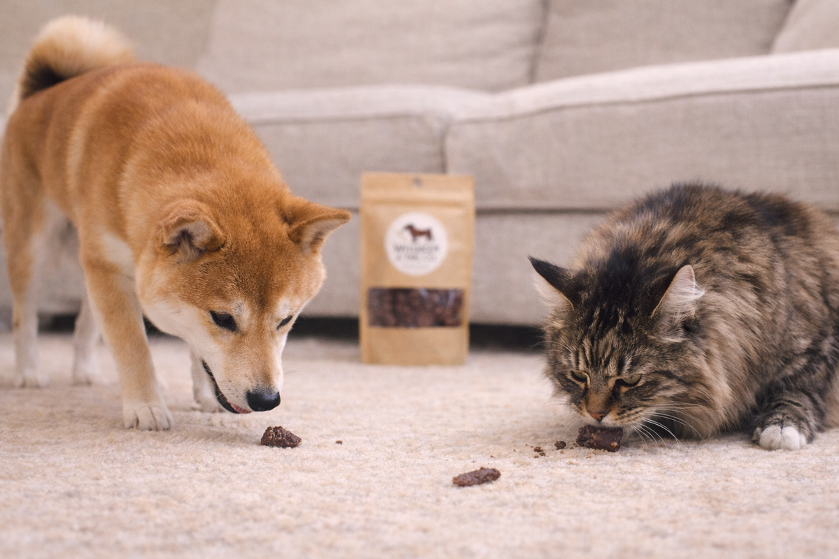 Duck Heart Protein-Rich Treat for Dogs & Cats – alternate view 2