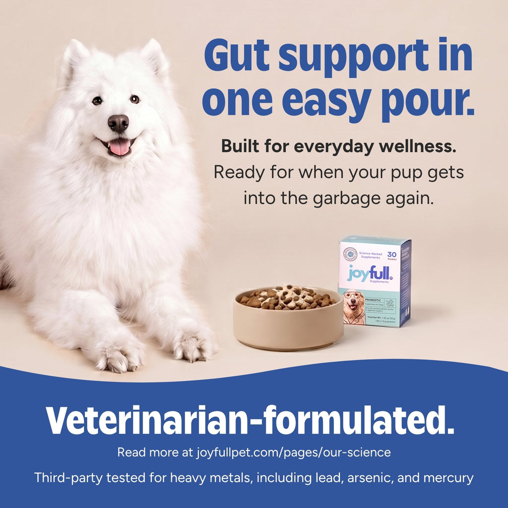 JoyFull probiotic supplement packets for dogs with beef bone broth – photo 2 of 6