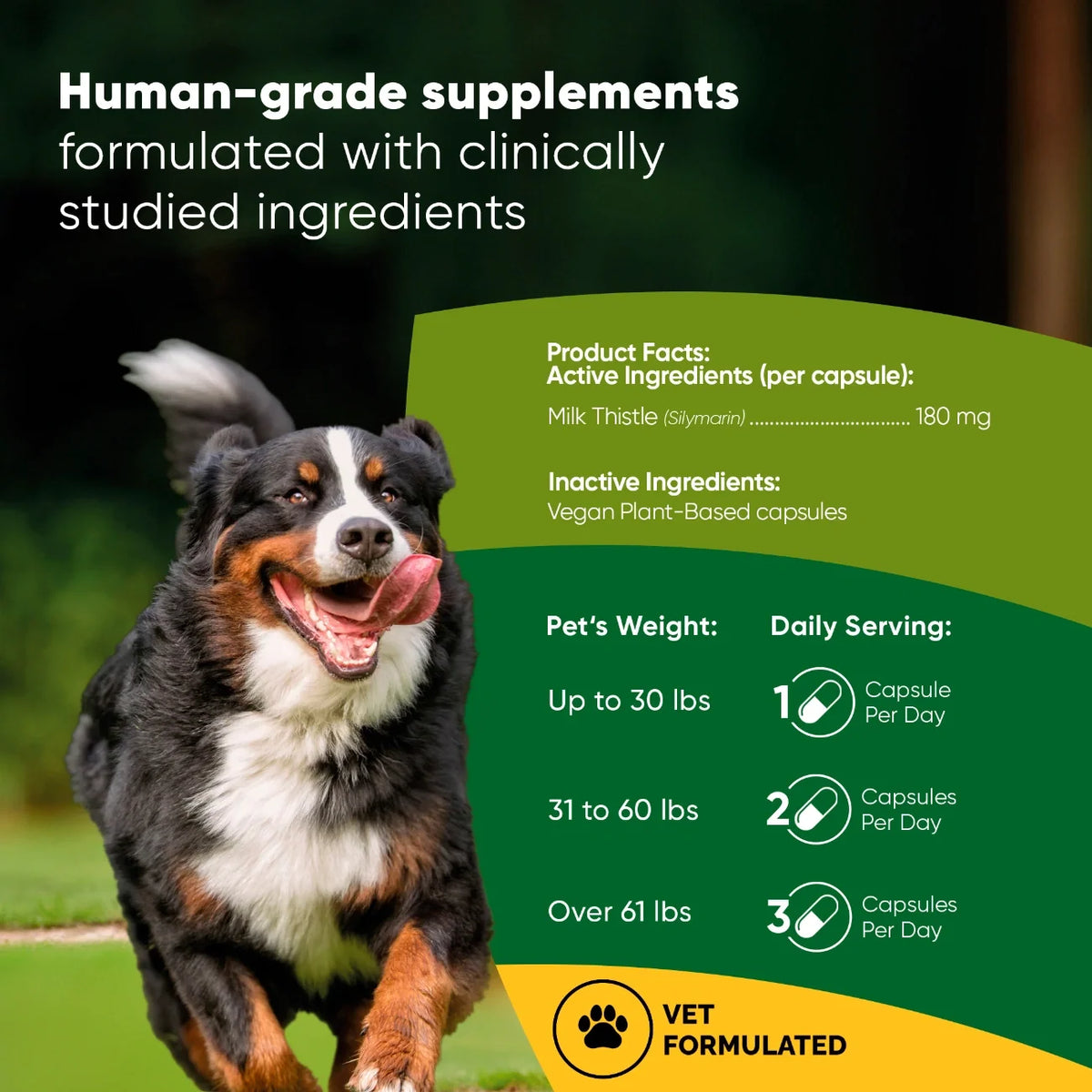 Rooted Owl Liver Support supplement for dogs with milk thistle – photo 2 of 9