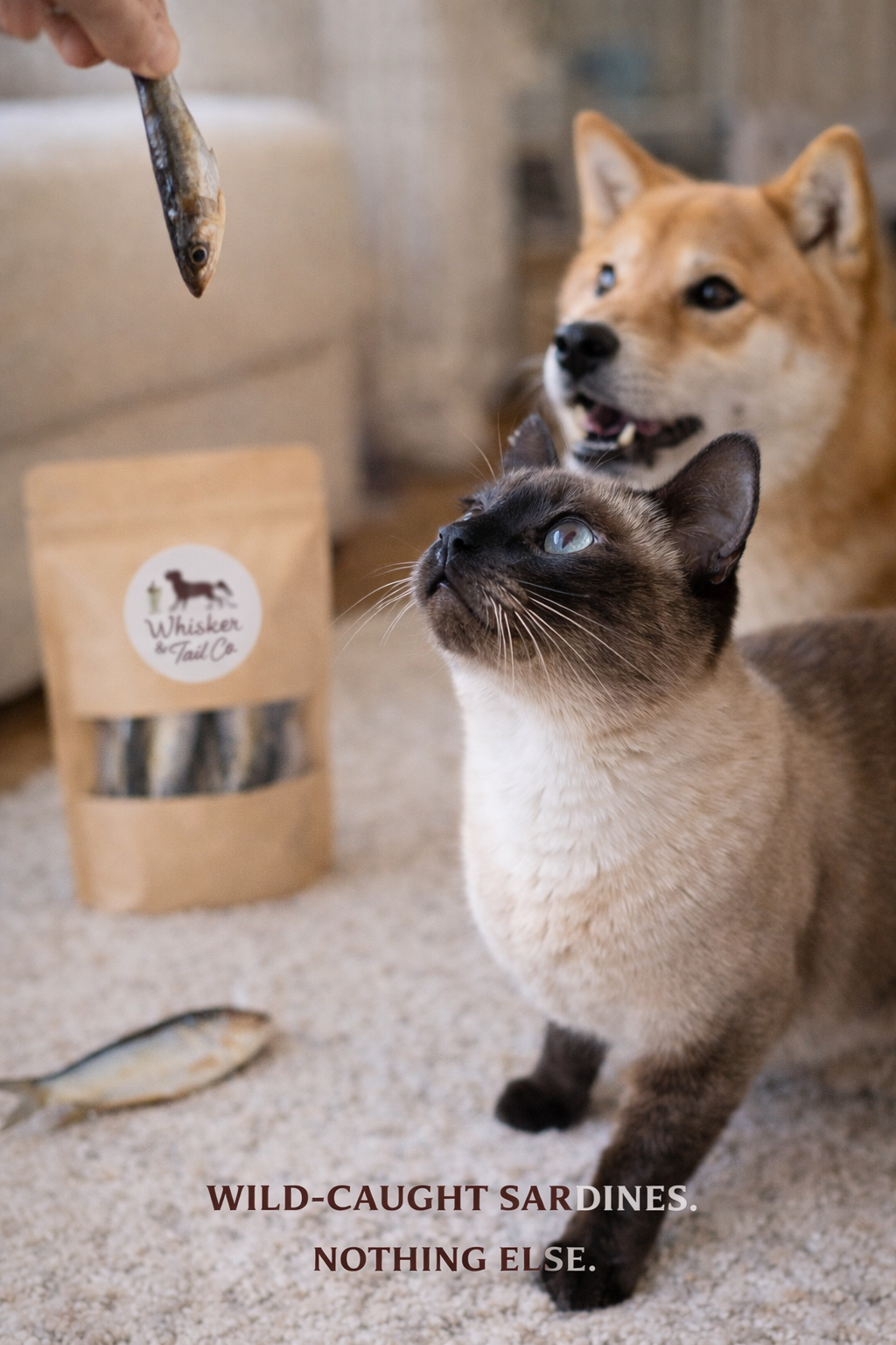 Sardines Omega-Rich Treat for Dogs & Cats – alternate view 2
