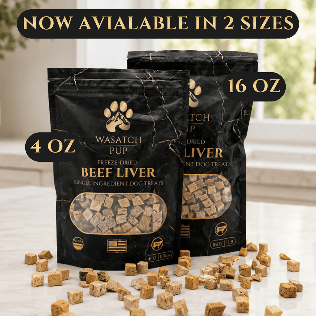 Freeze-Dried Beef Liver Dog Treats – alternate view 4