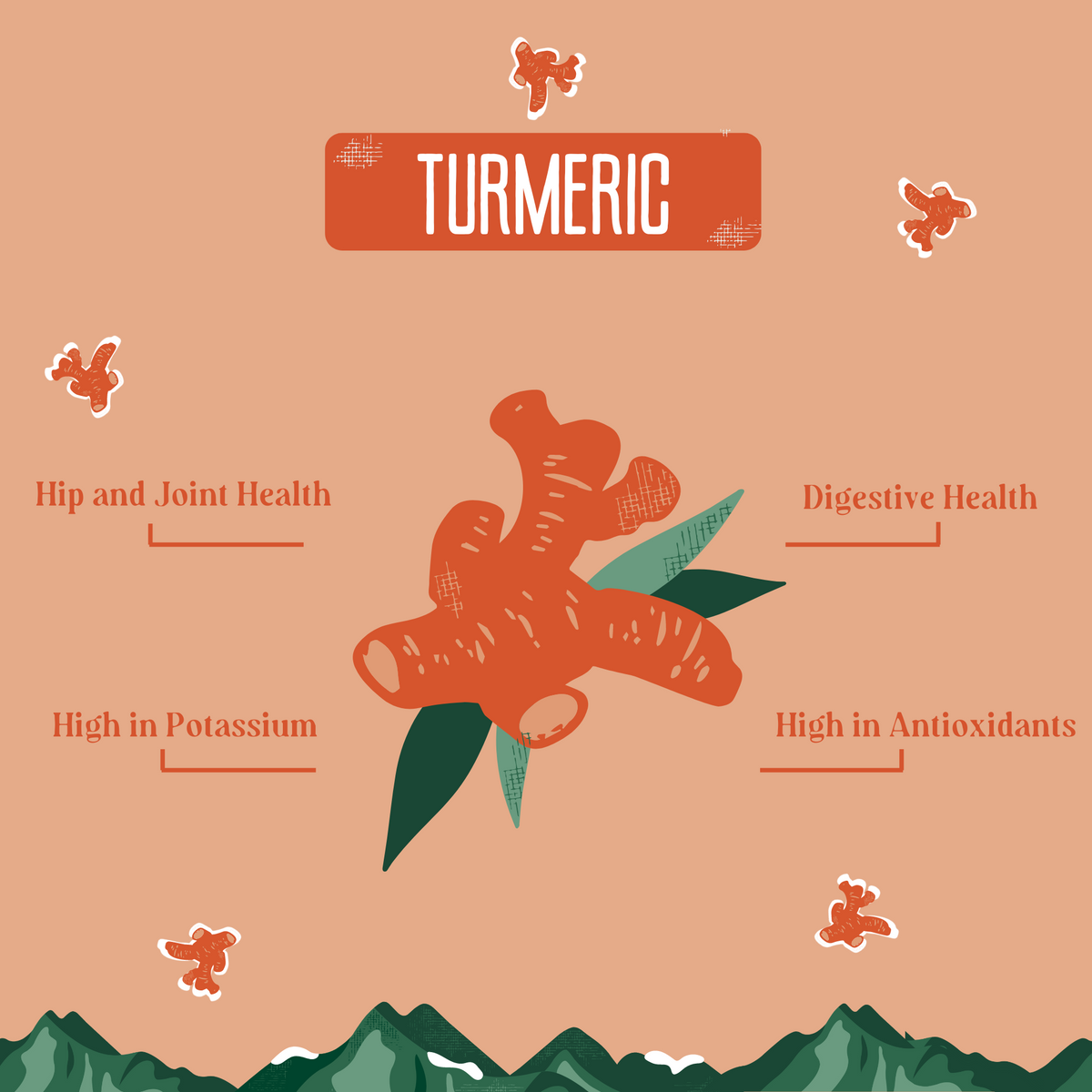 Turmeric Yak Milk Chews for Dogs – alternate view 3