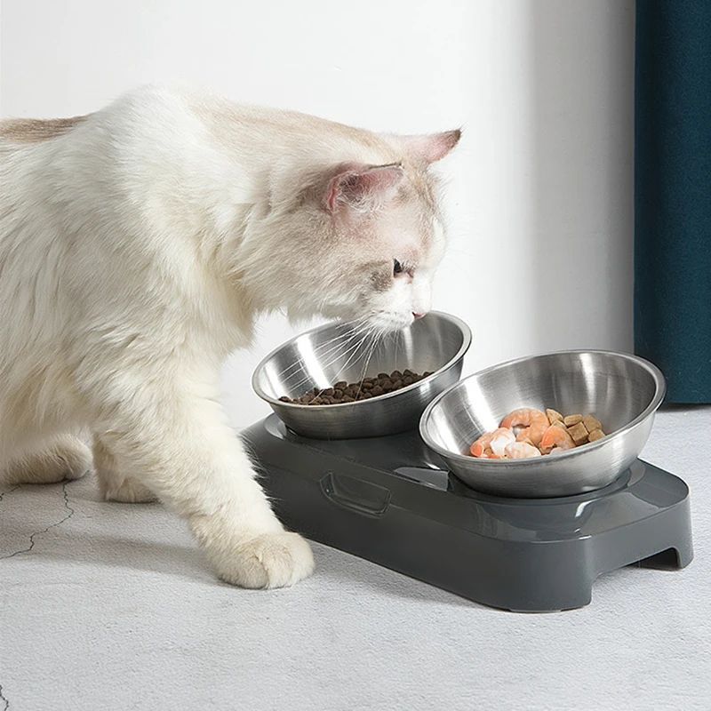 Stainless Steel Double Bowl with Stand – 15° Tilted Feeder for Dogs & Cats – alternate view 9