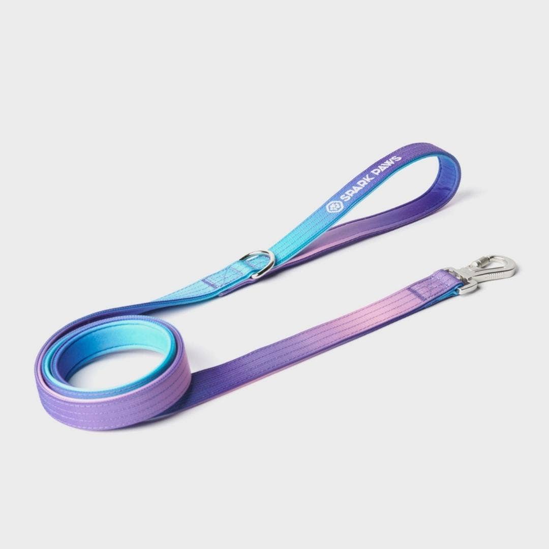 Comfort Control Dog Leash – 90s Retro, OS – front view