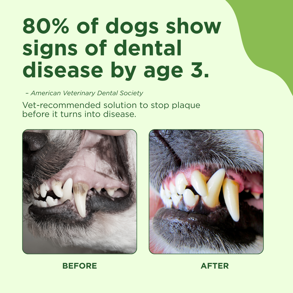 Dog Oral Care Spray – Fresh Breath & Plaque Control – alternate view 2