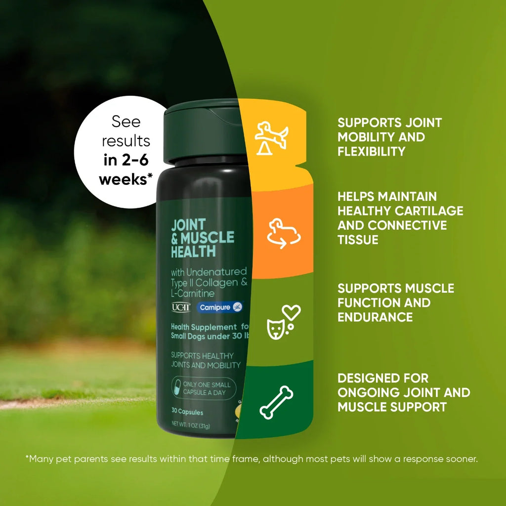 Rooted Owl Joint & Muscle Health capsules with UC-II collagen for small dogs under 30 lb – photo 3 of 9
