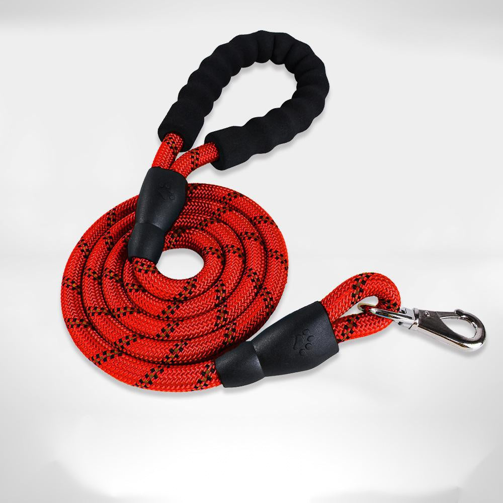 Dog Collar – Medium & Large Dogs – alternate view 9