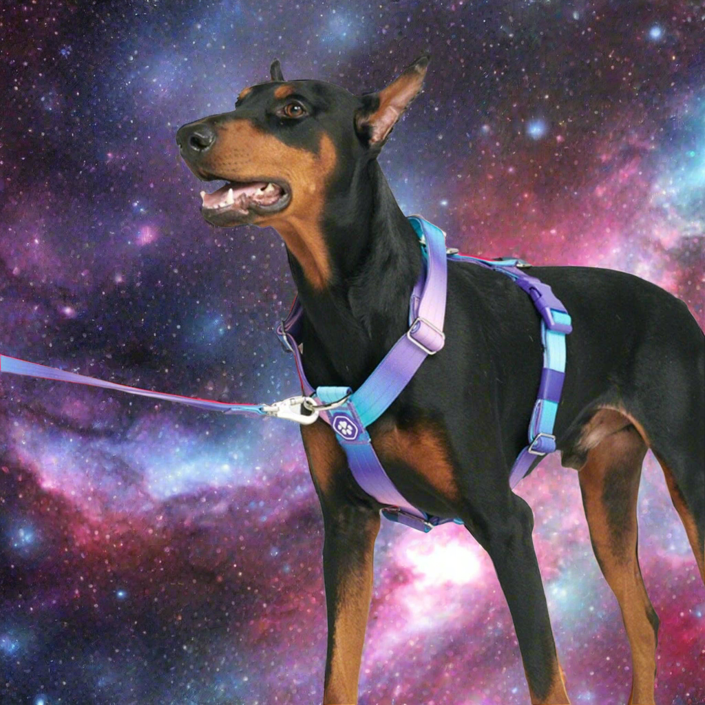 Comfort Control No-Pull Dog Harness – 90s Retro – front view