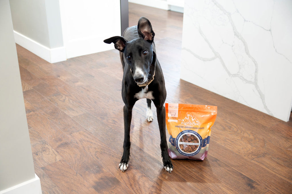 Freeze-Dried Raw Beef Dog Food – Single Ingredient – alternate view 11