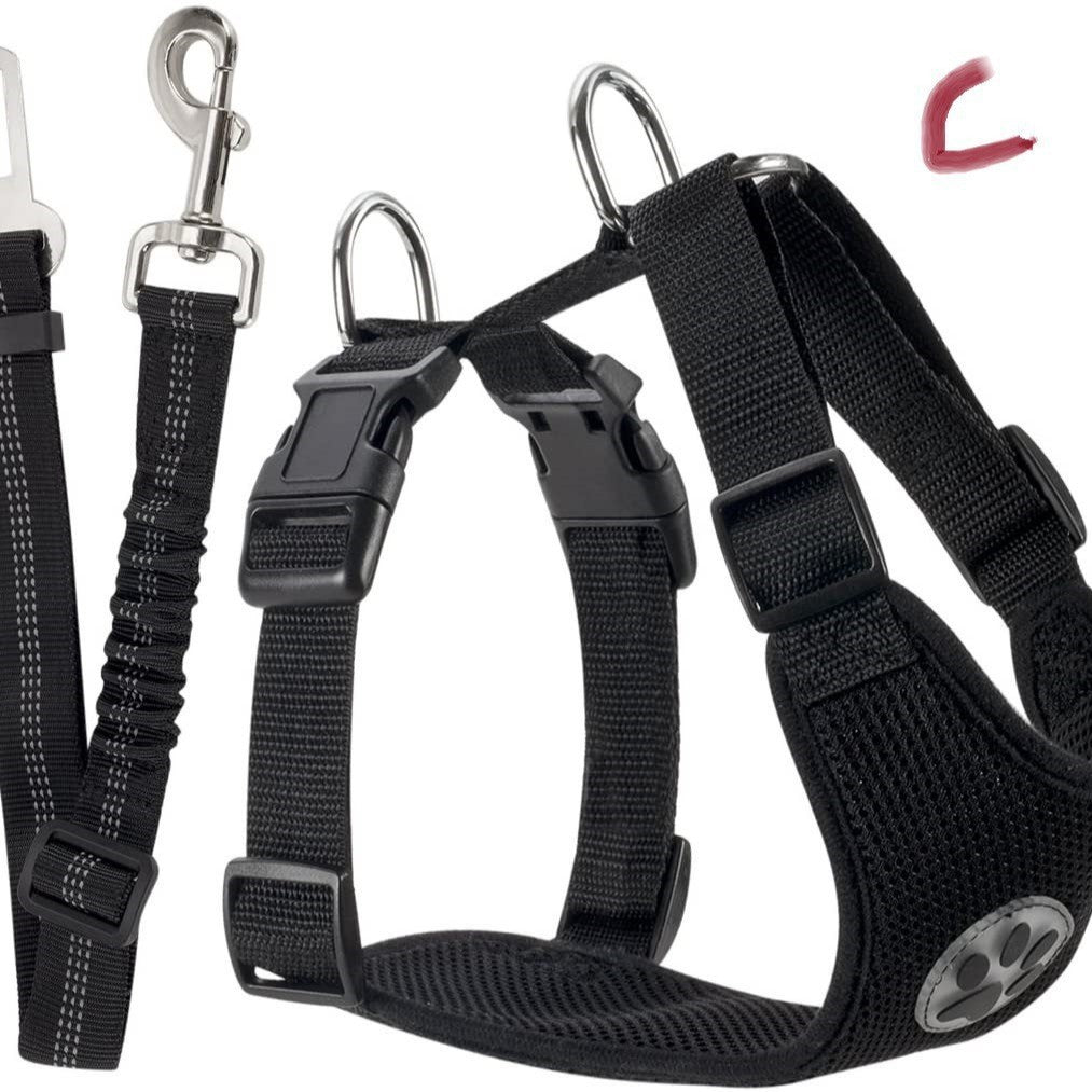 Reflective Dog Leash – Small & Medium Dogs – alternate view 2