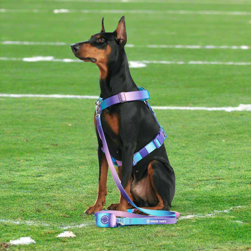 Comfort Control No-Pull Dog Harness – 90s Retro – alternate view 5