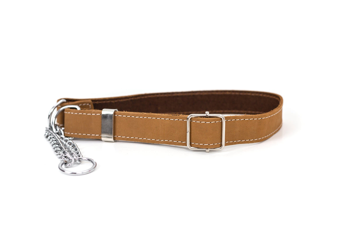 Martingale Leather Dog Collar – alternate view 8