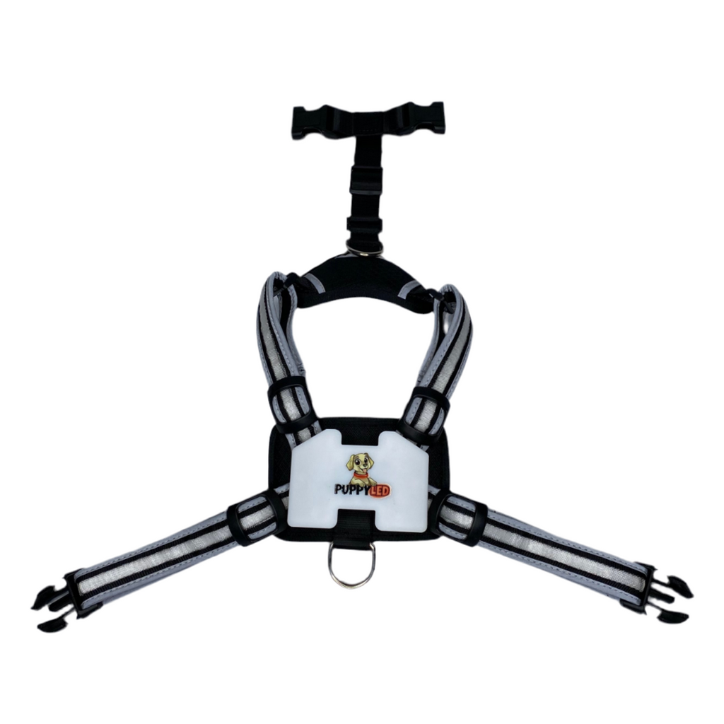 LED Dog Harness – alternate view 17