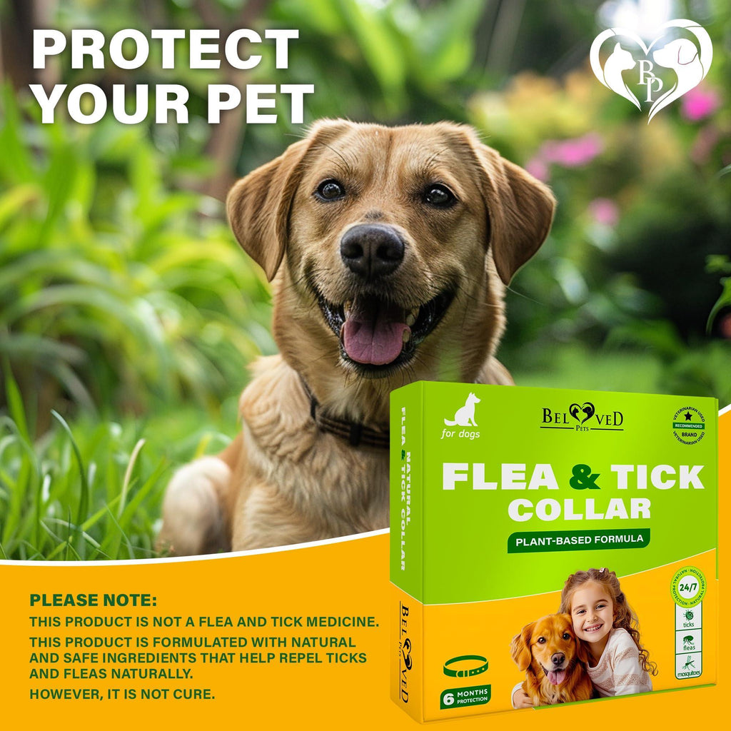 Flea and Tick Collar for Dogs 6-Month Essential Oil Repellent – photo 8 of 8