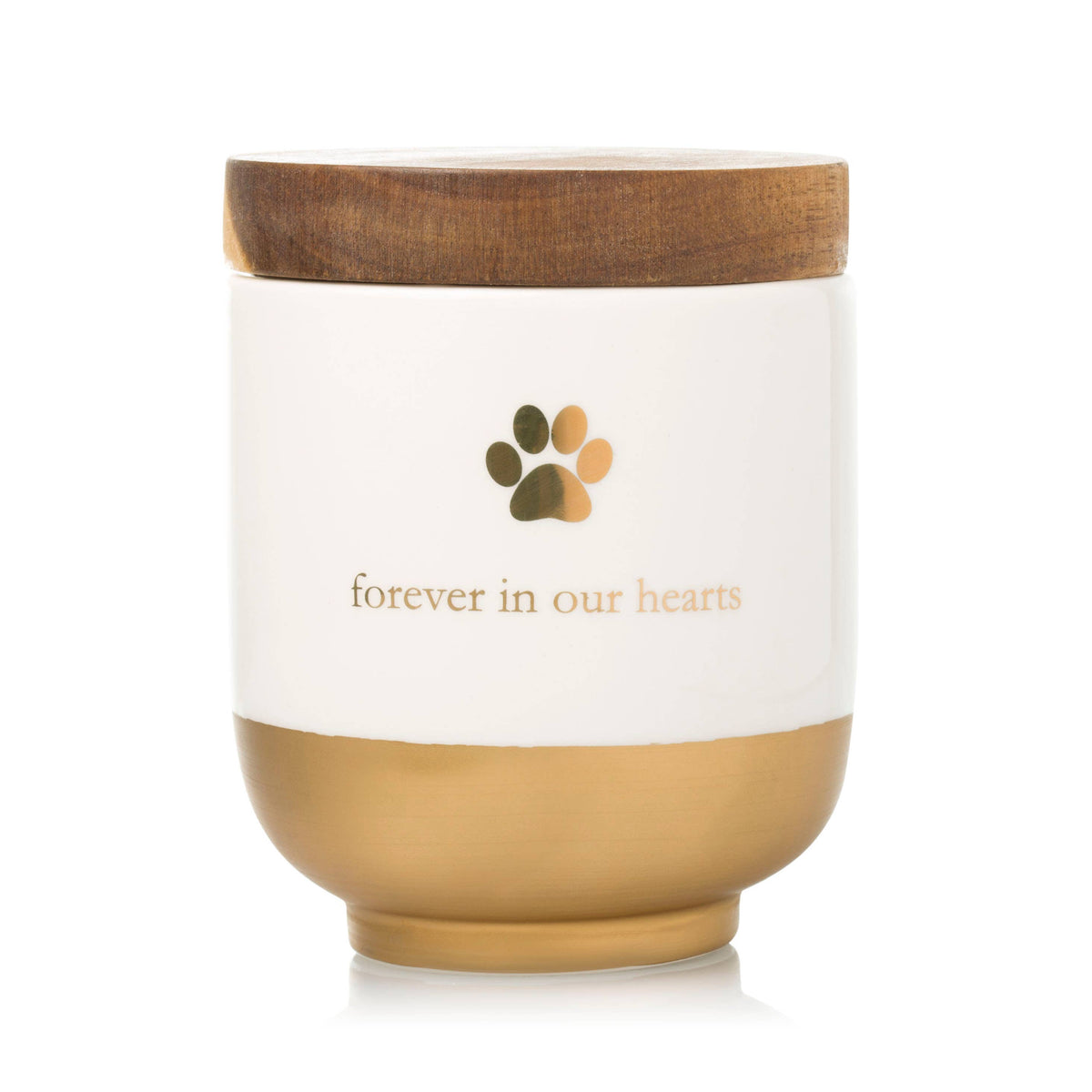Pet Ceramic Urn Memory Jar – front view