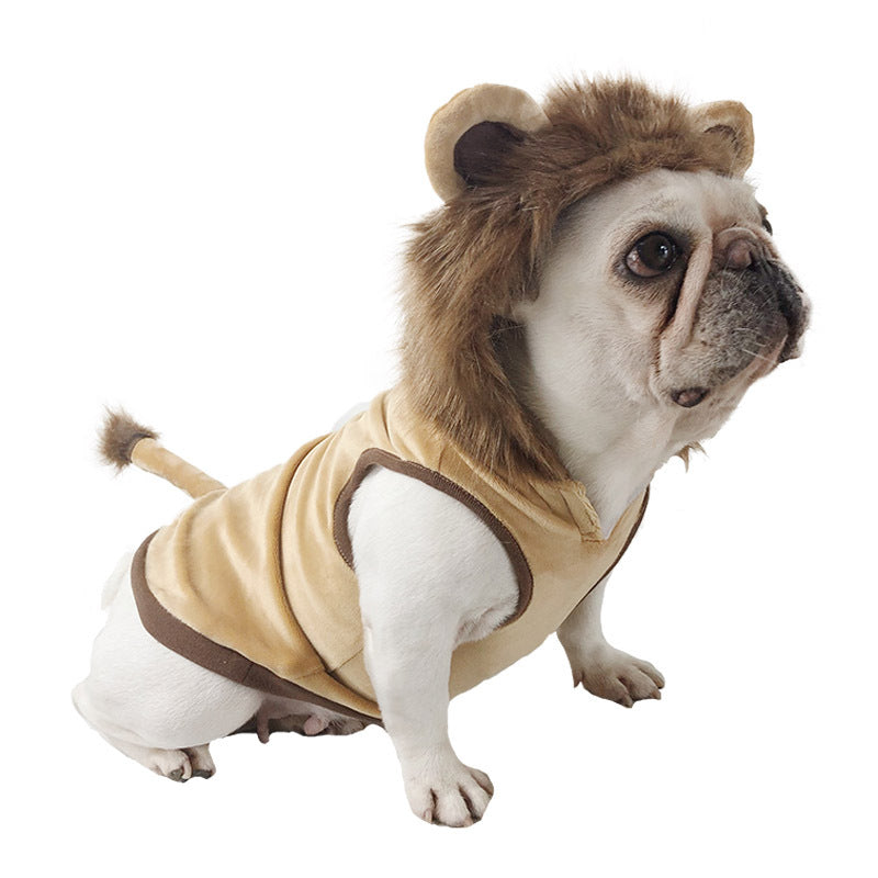 Lion Costume for Dogs & Cats – Halloween – alternate view 3