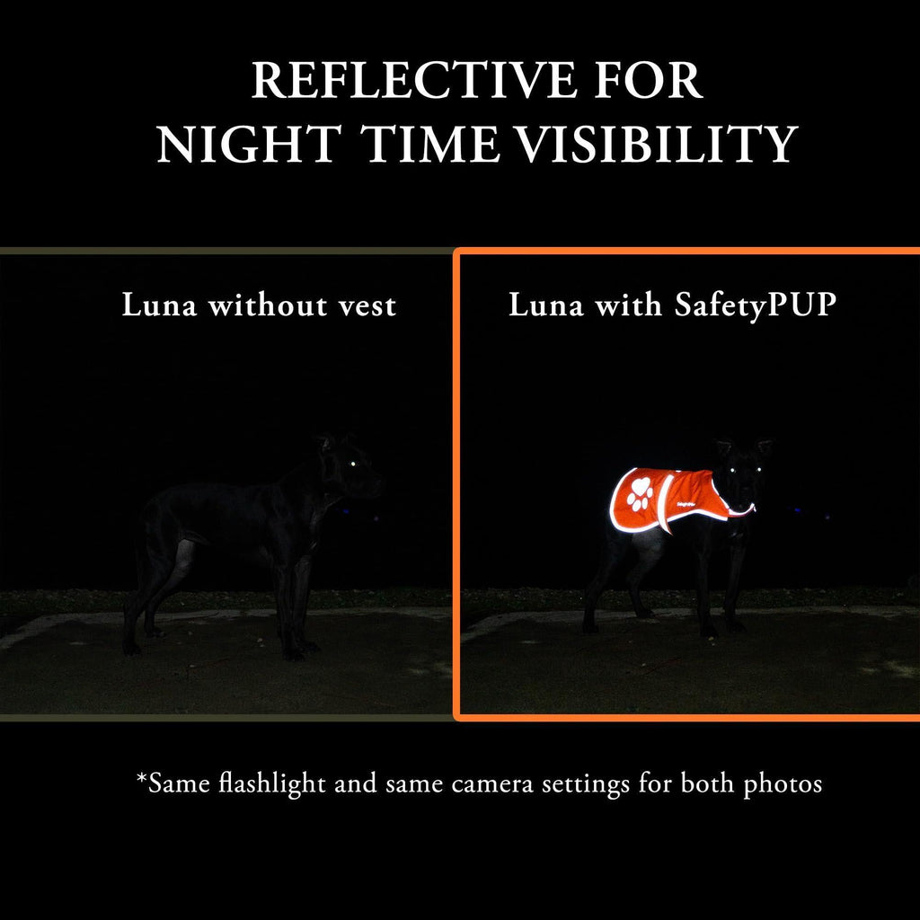 SafetyPUP URBAN Reflective Dog Vest M Yellow – photo 3 of 5