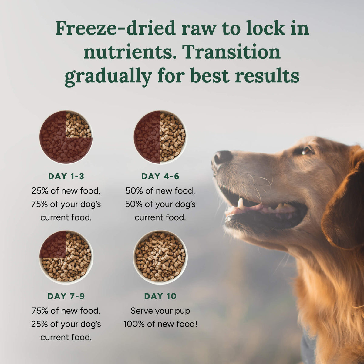 360 Pet Nutrition Beef Formula Freeze-Dried Raw Dog Food – photo 20 of 21
