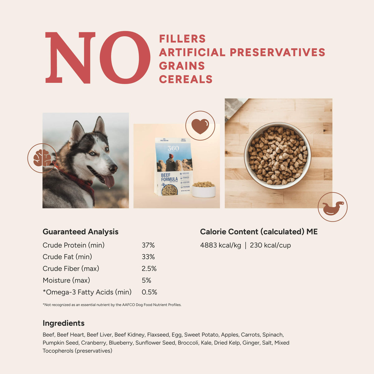 360 Pet Nutrition Beef Formula Freeze-Dried Raw Dog Food – photo 13 of 21