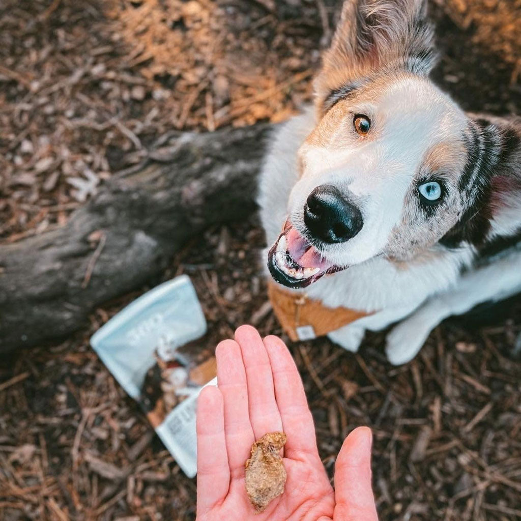 360 Pet Nutrition Beef Liver Freeze-Dried Raw Dog Treats – photo 7 of 8