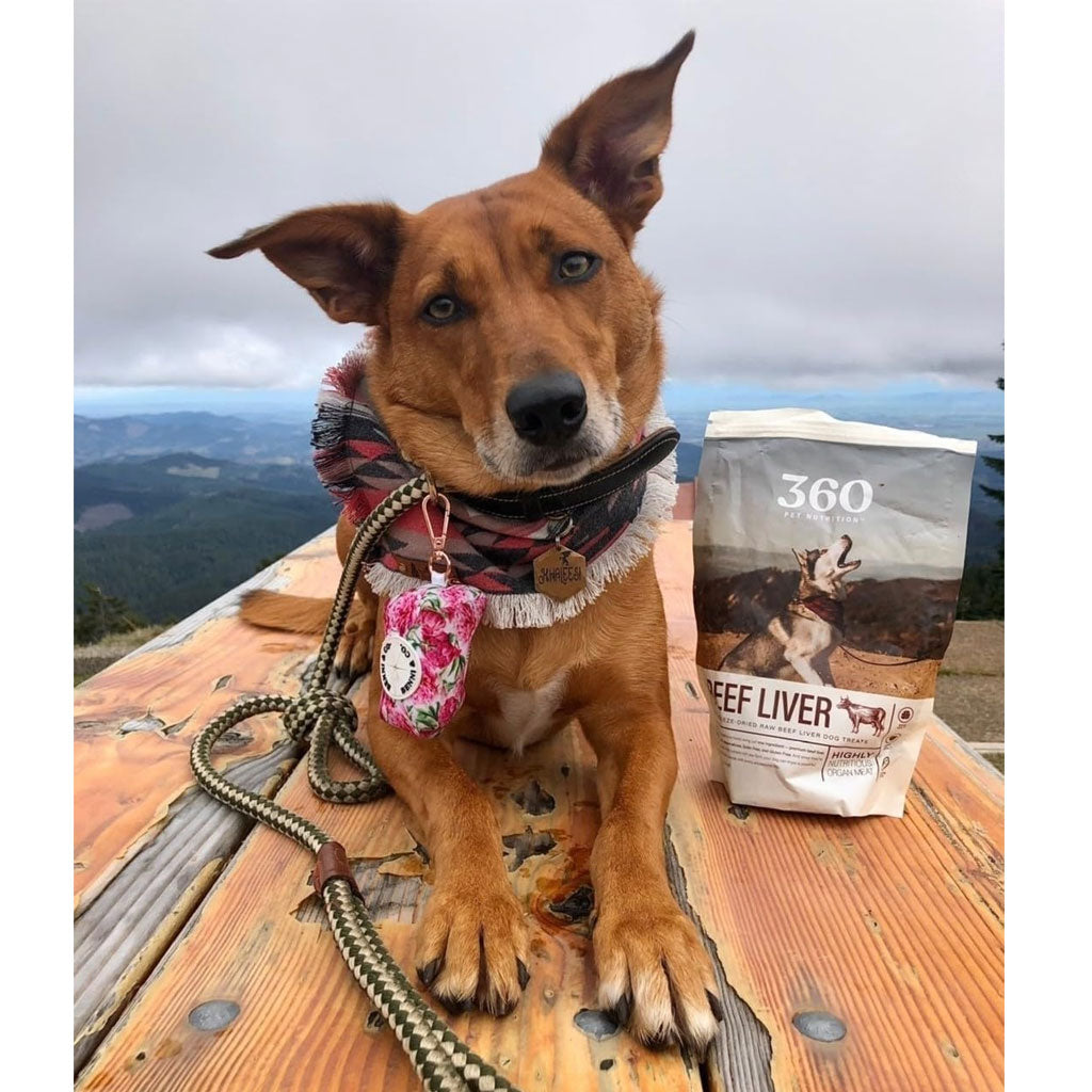 360 Pet Nutrition Beef Liver Freeze-Dried Raw Dog Treats – photo 8 of 8