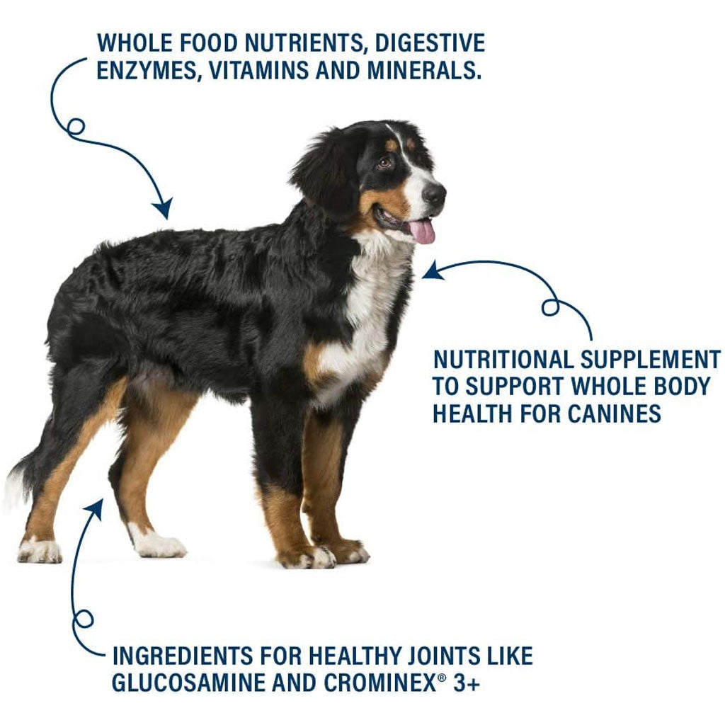 360 Pet Nutrition Canine Superfood Blend Supplement Powder – photo 5 of 7