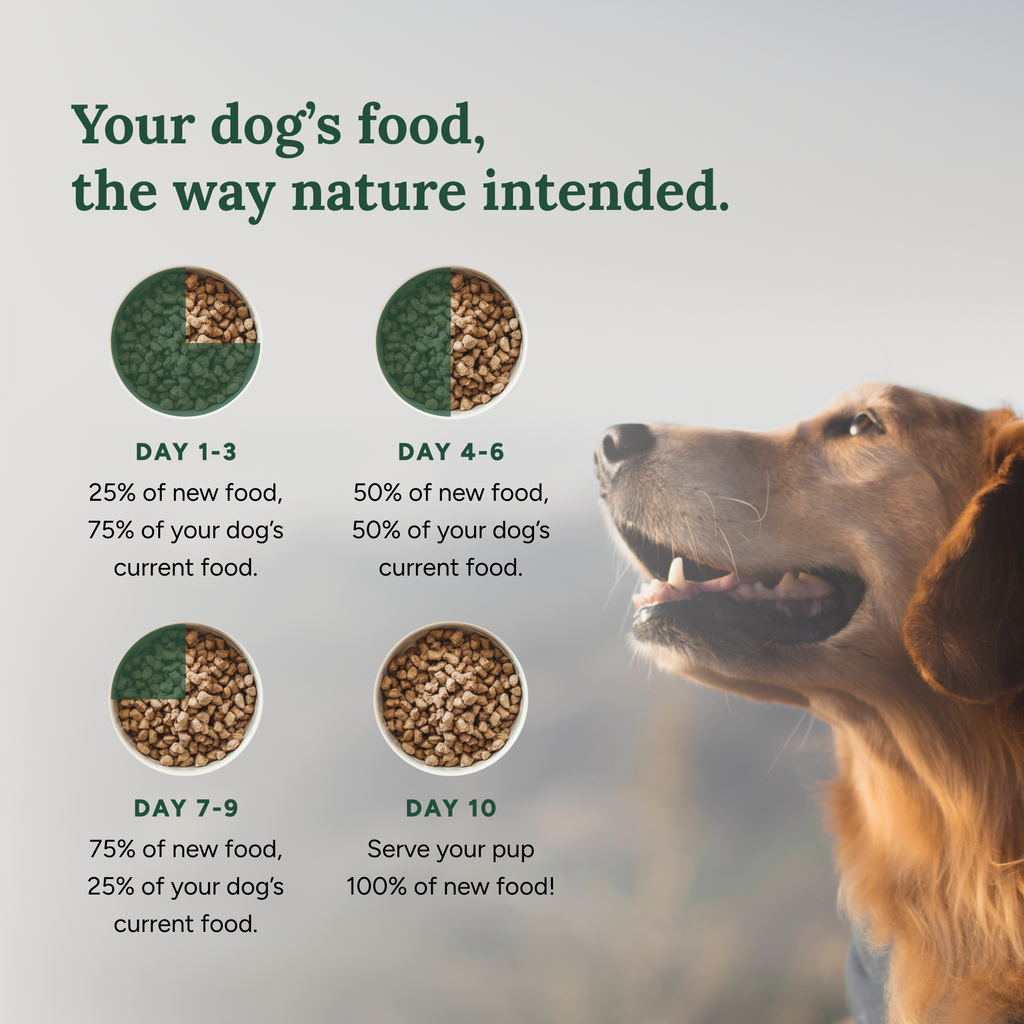 360 Pet Nutrition Chicken Freeze-Dried Raw Complete Meal – photo 4 of 21
