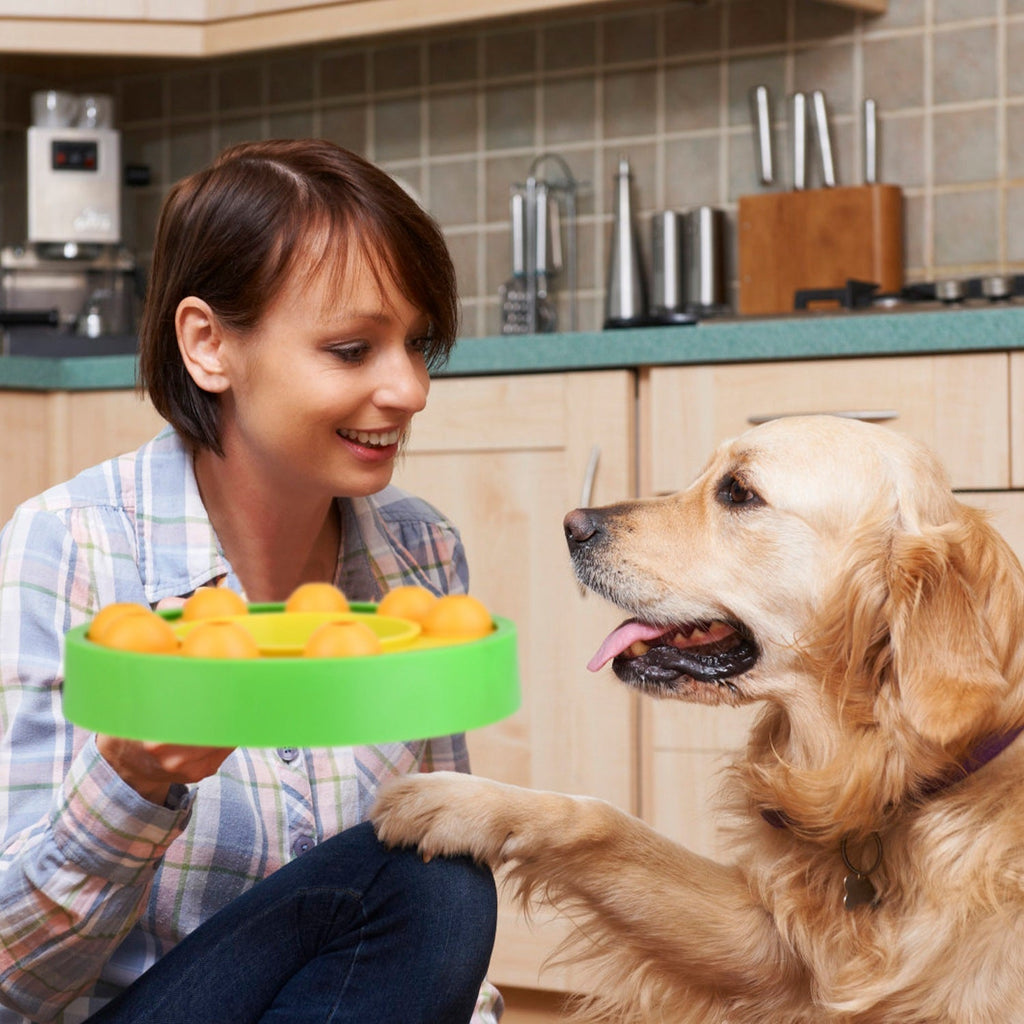 Dog Puzzle Slow Feeder Bowl – Interactive Treat Dispensing Toy – alternate view 2