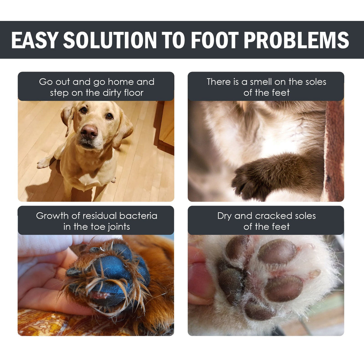 Dog Paw Cleaner – Foot Care for Dogs & Cats – alternate view 2